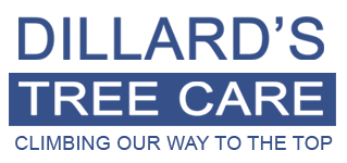Dillard's Tree Care - Climbing Our Way To The Top